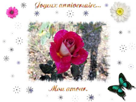 Un joyeux anniversaire Barbara