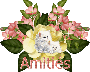 amitiés