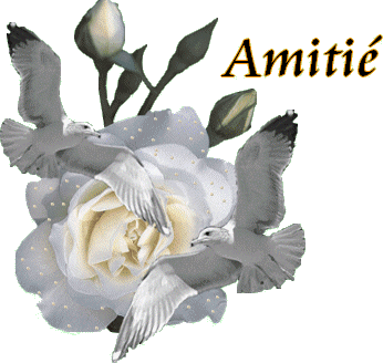 Amitié