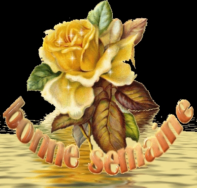 Bon Lundi