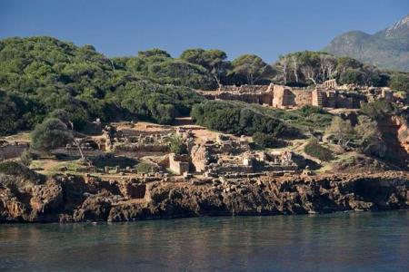 tipaza