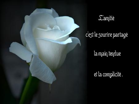 Une simple amitié
