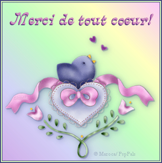 merci pour cette belle image